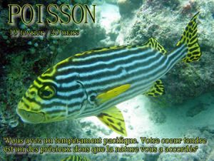 horoscope poisson rencontre