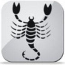 Scorpion Scorpion