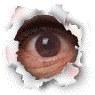 oeil clignotant